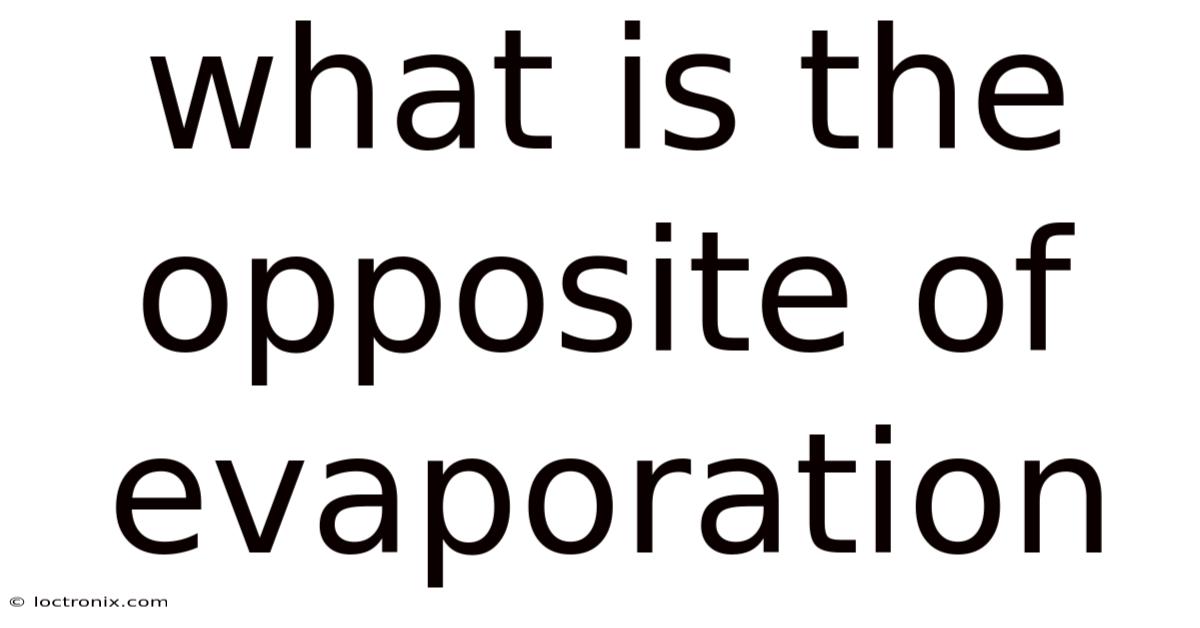 What Is The Opposite Of Evaporation