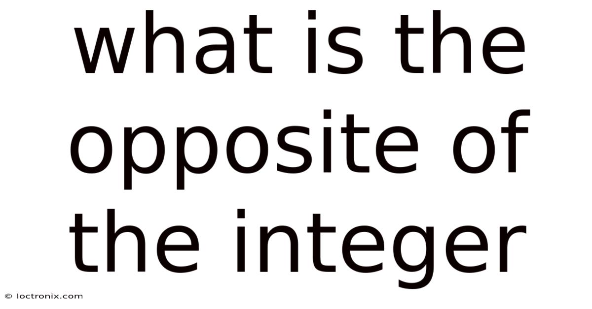 What Is The Opposite Of The Integer