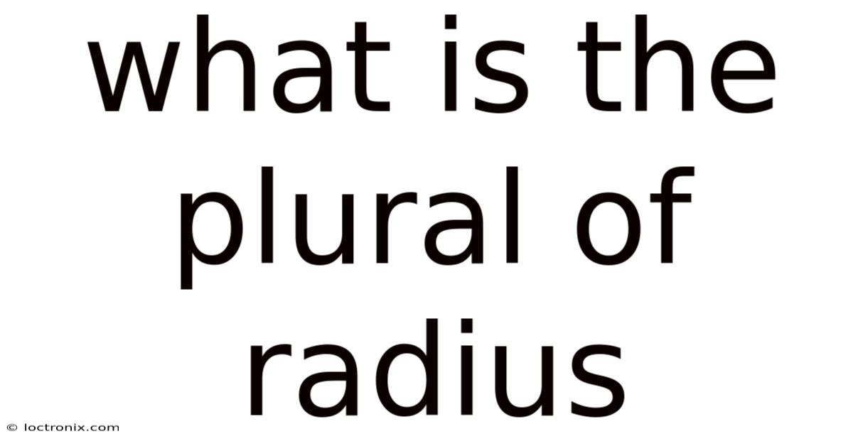 What Is The Plural Of Radius
