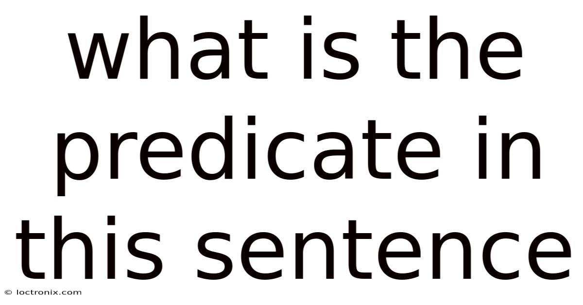 What Is The Predicate In This Sentence