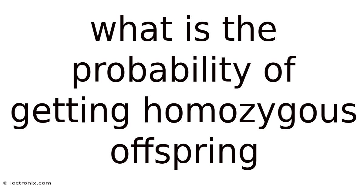 What Is The Probability Of Getting Homozygous Offspring