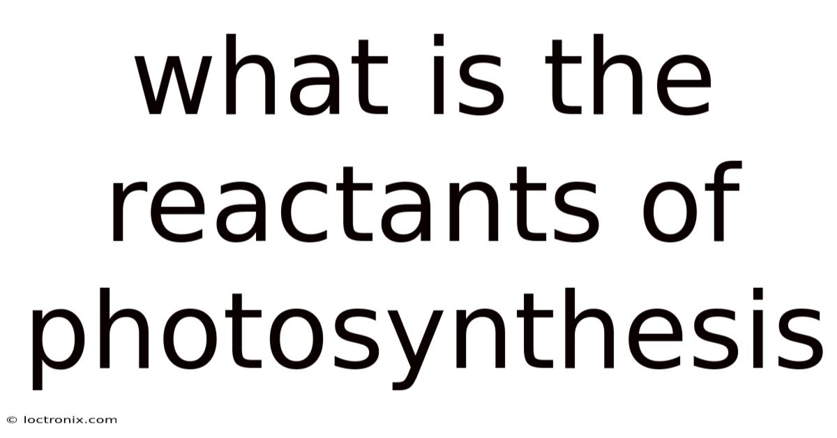 What Is The Reactants Of Photosynthesis
