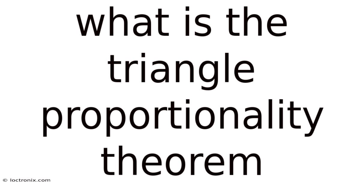 What Is The Triangle Proportionality Theorem