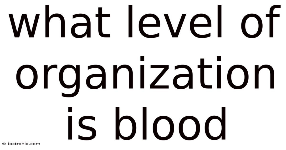What Level Of Organization Is Blood