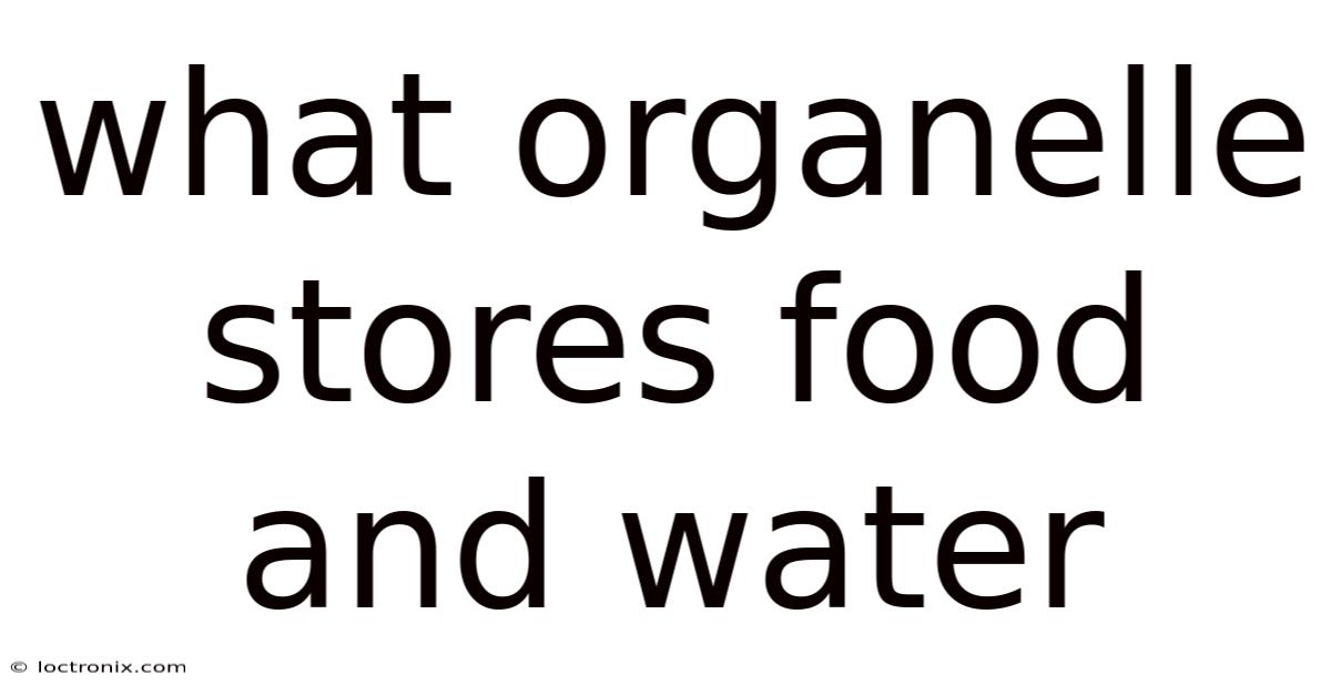 What Organelle Stores Food And Water