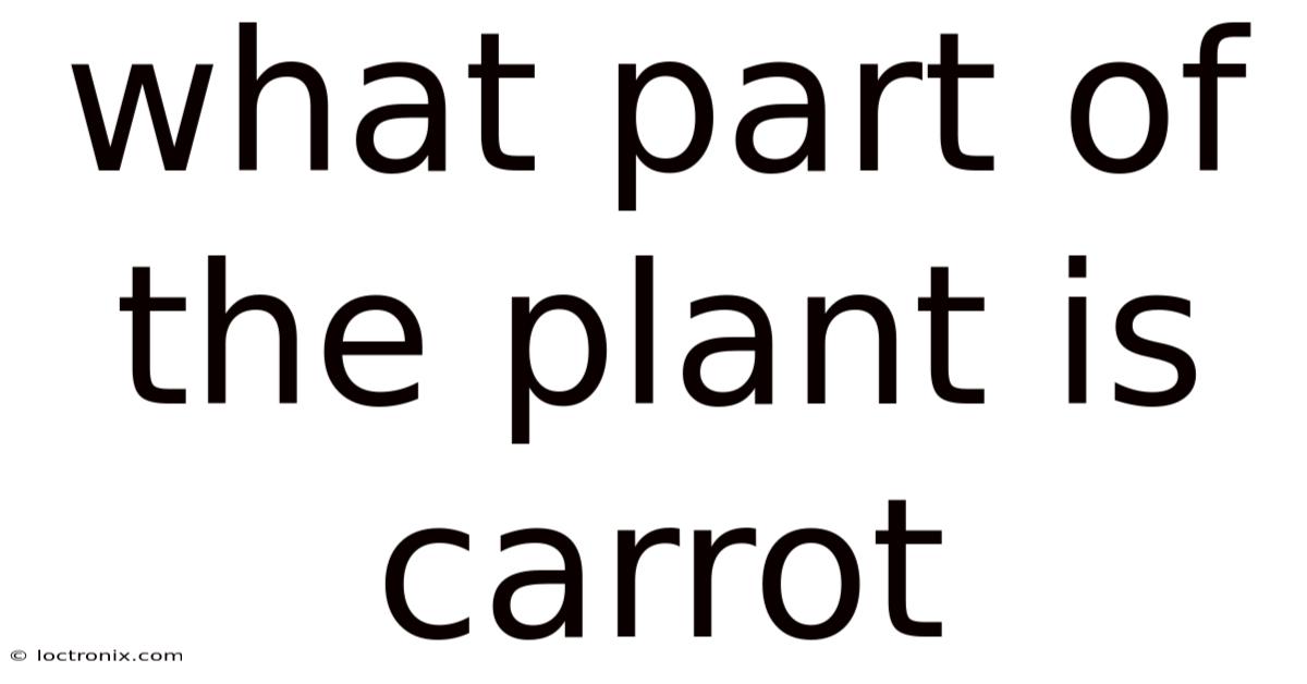 What Part Of The Plant Is Carrot