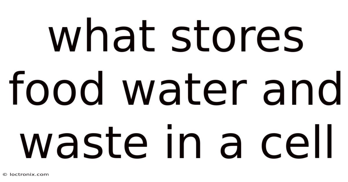 What Stores Food Water And Waste In A Cell