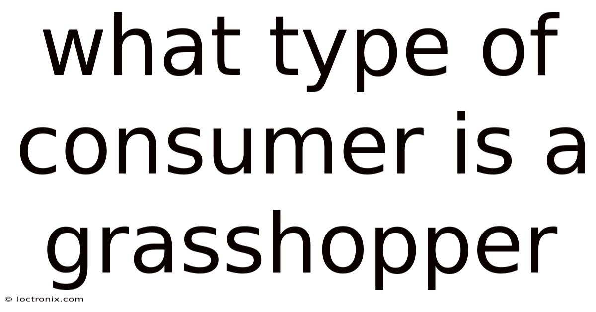 What Type Of Consumer Is A Grasshopper