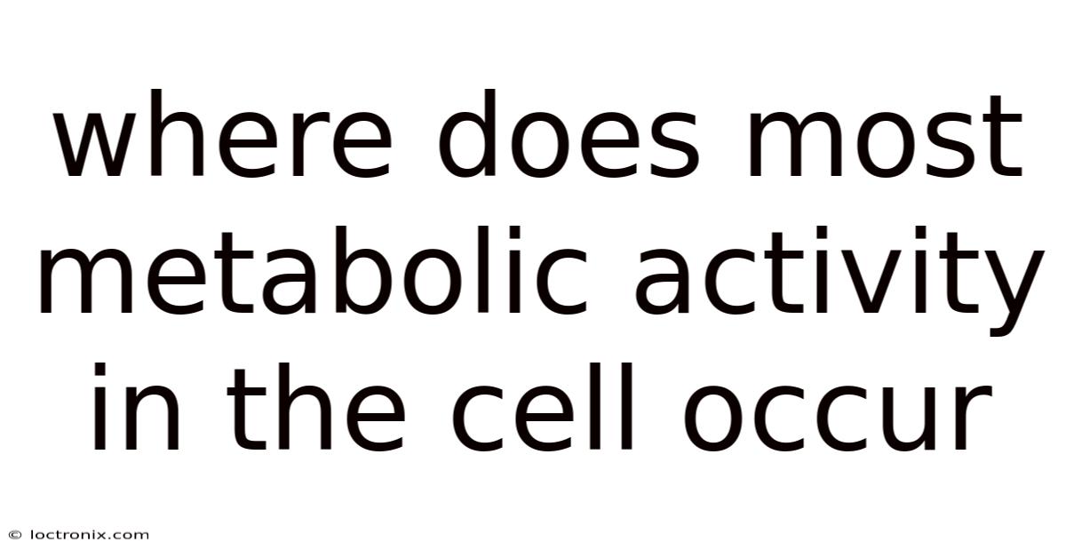 Where Does Most Metabolic Activity In The Cell Occur
