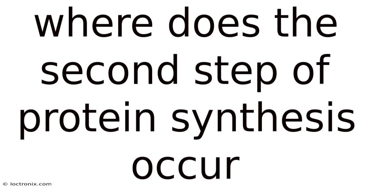 Where Does The Second Step Of Protein Synthesis Occur