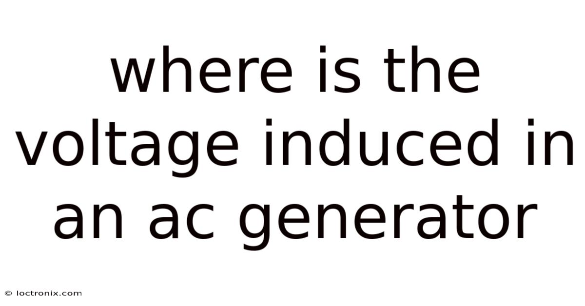 Where Is The Voltage Induced In An Ac Generator