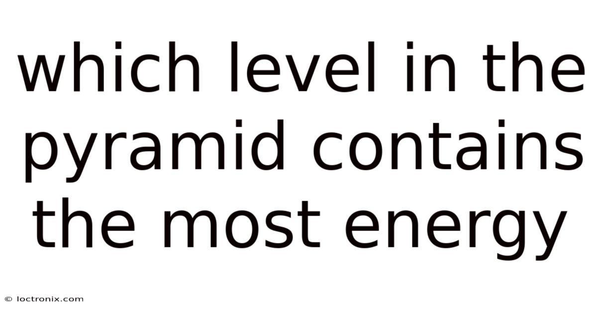 Which Level In The Pyramid Contains The Most Energy