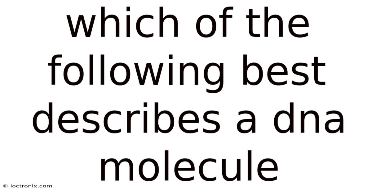 Which Of The Following Best Describes A Dna Molecule