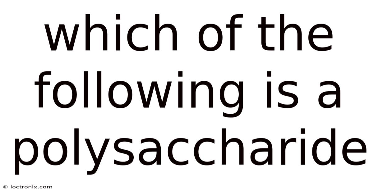 Which Of The Following Is A Polysaccharide