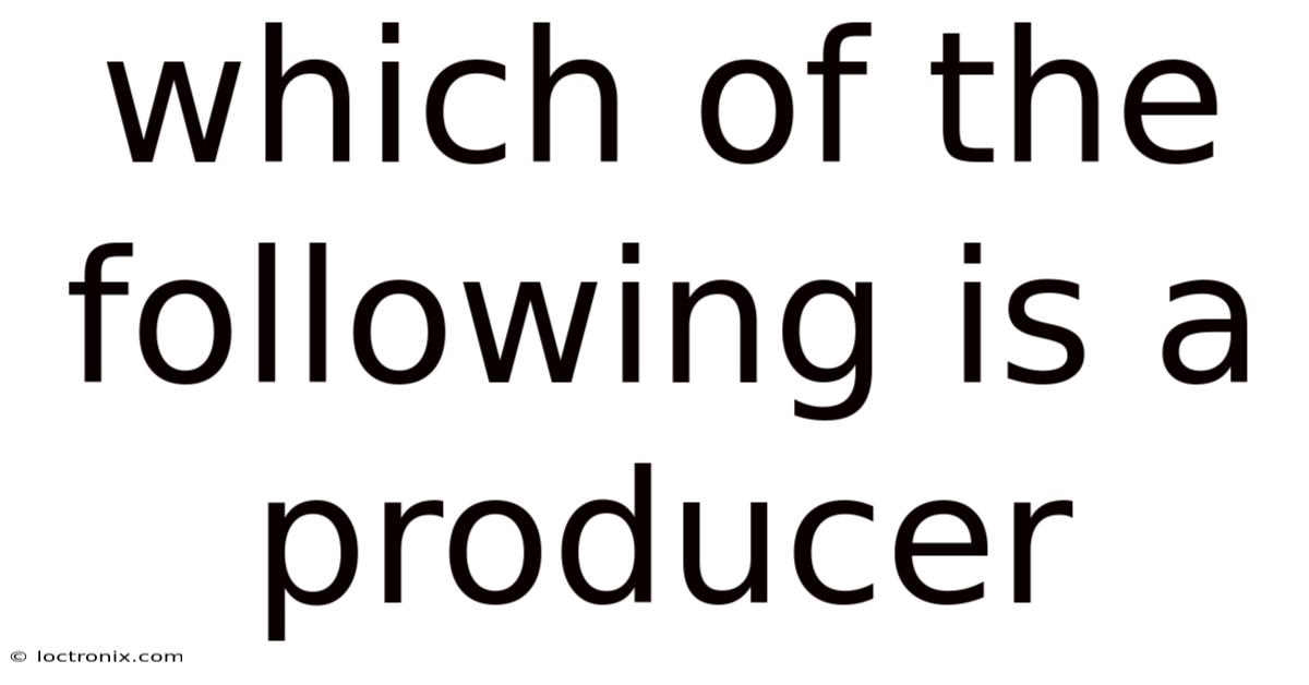 Which Of The Following Is A Producer