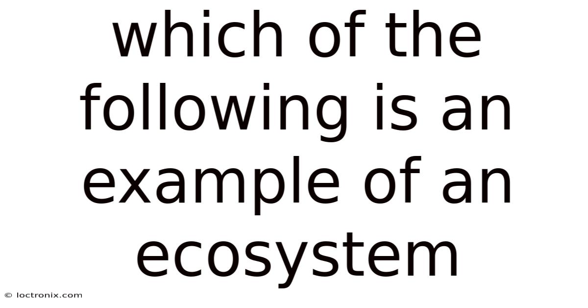 Which Of The Following Is An Example Of An Ecosystem