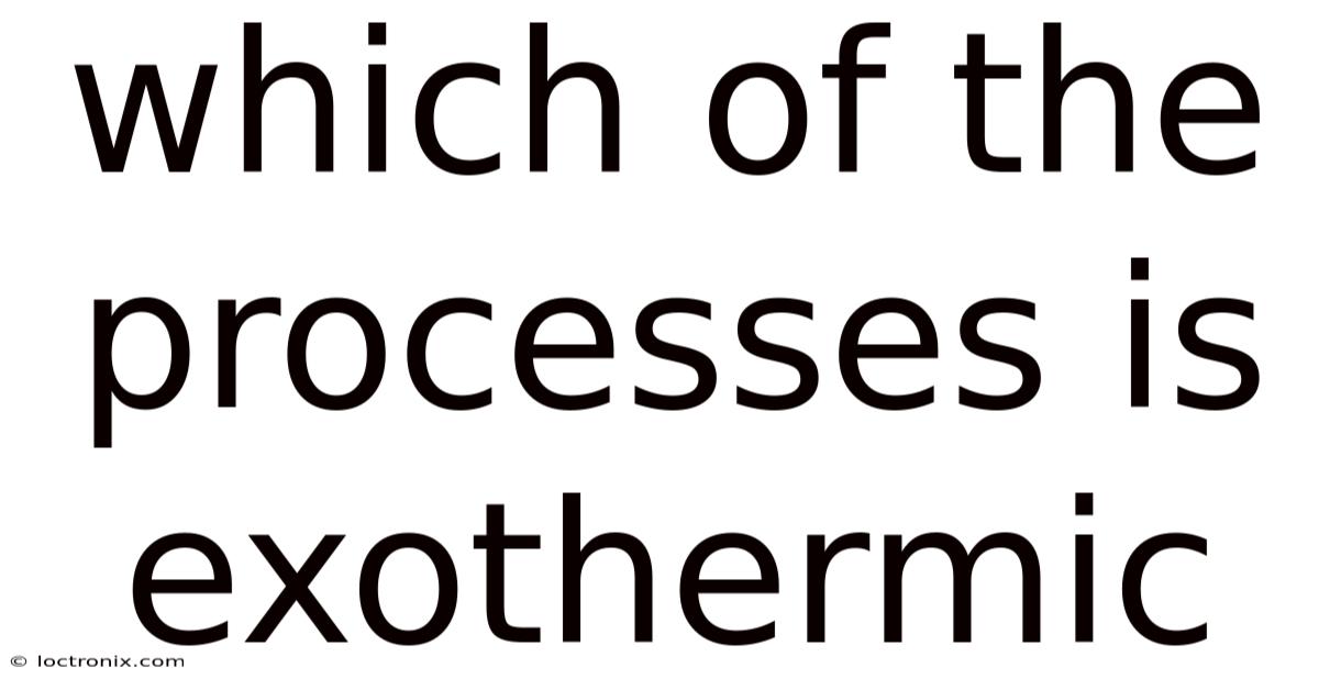 Which Of The Processes Is Exothermic