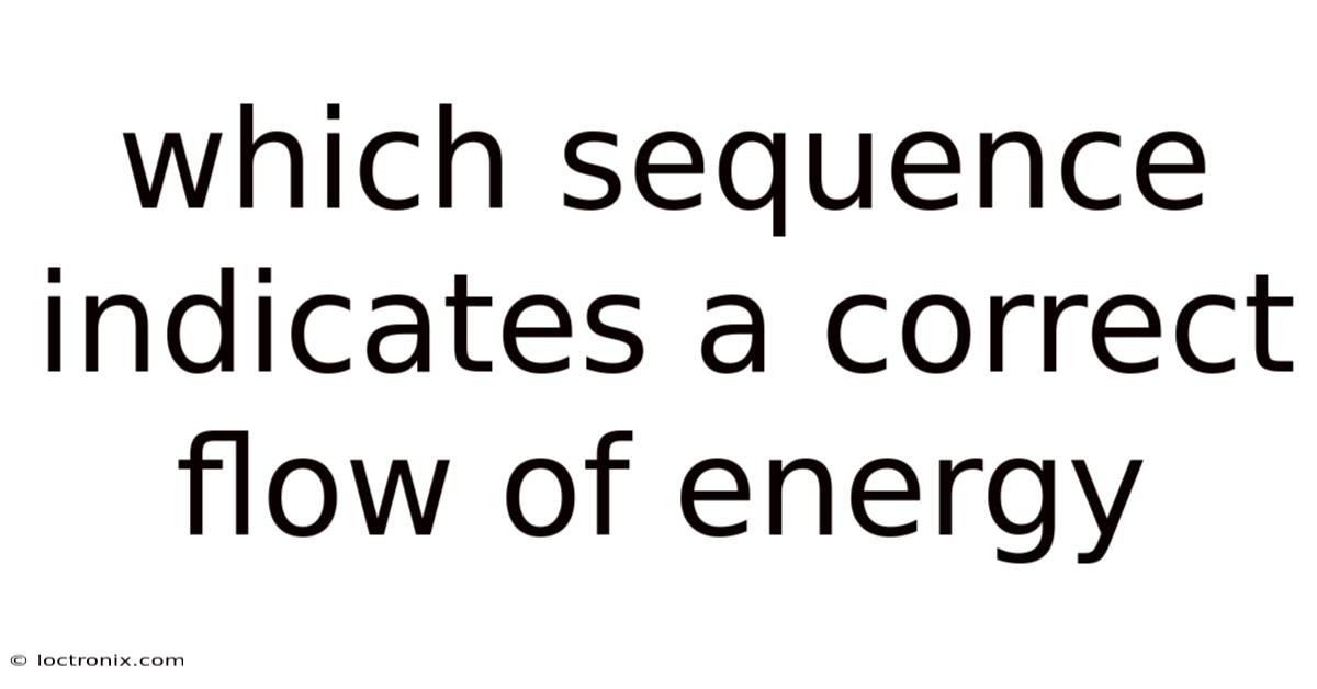 Which Sequence Indicates A Correct Flow Of Energy