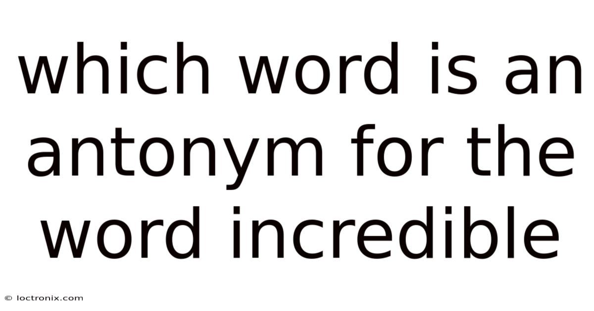 Which Word Is An Antonym For The Word Incredible