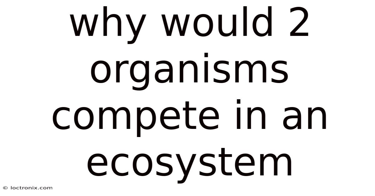 Why Would 2 Organisms Compete In An Ecosystem