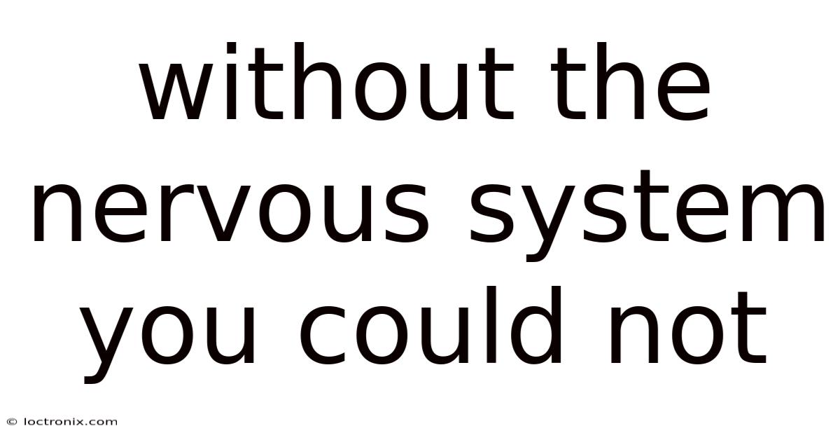 Without The Nervous System You Could Not