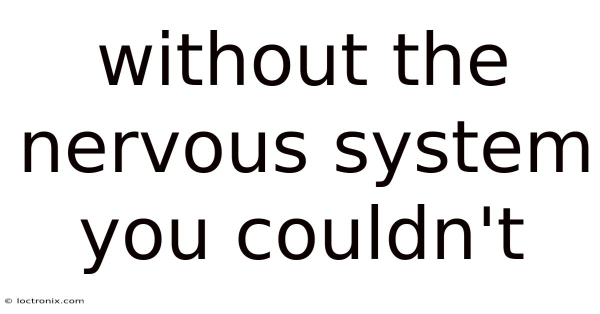 Without The Nervous System You Couldn't
